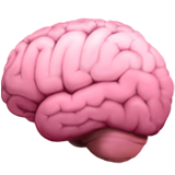 Brain